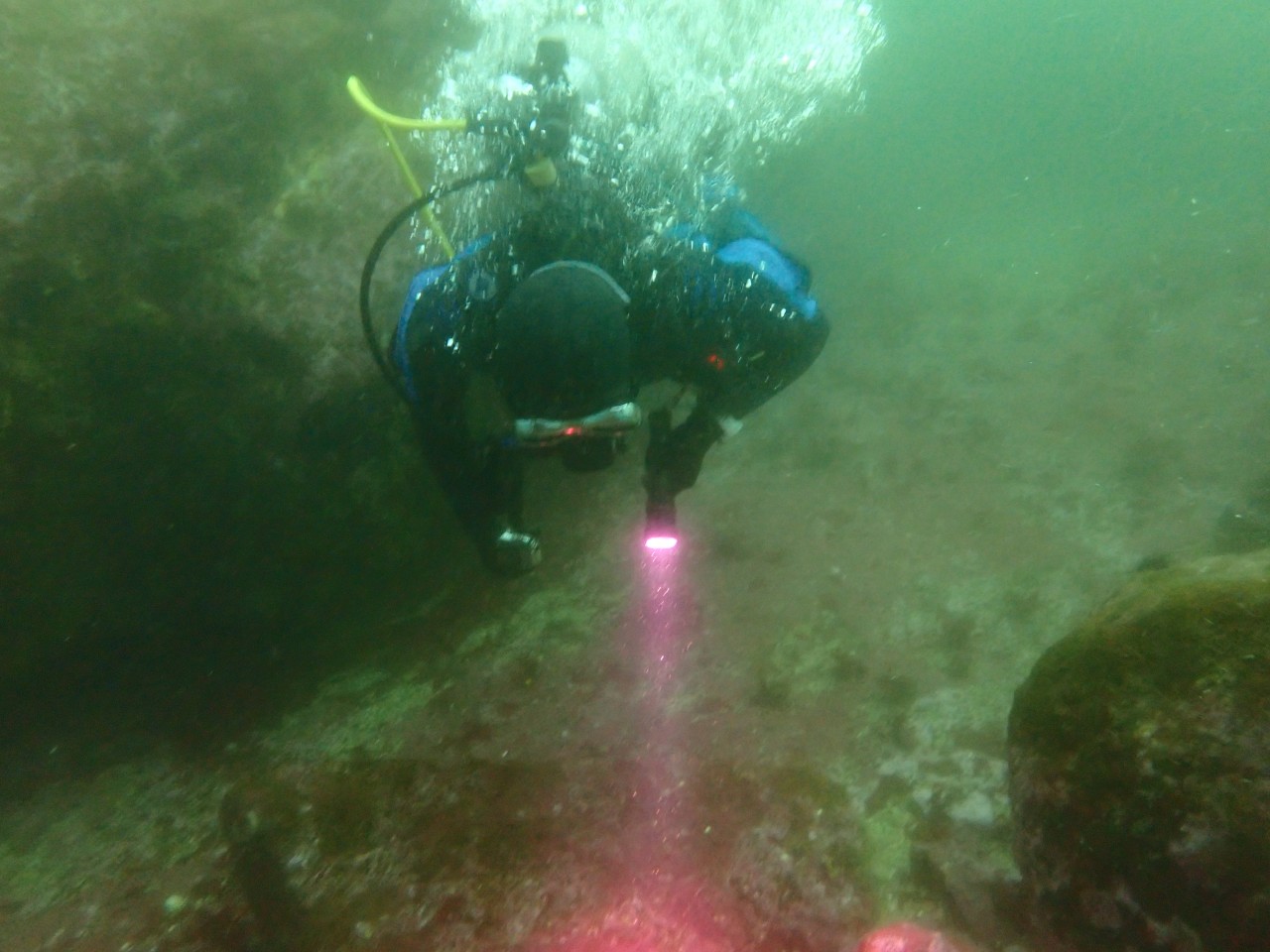 고성 봉포리조트 _ 동해 첫 다이빙 _ 아라 첫모임