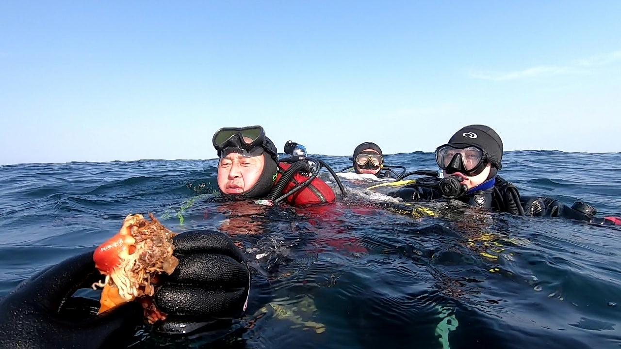 고성 봉포리조트 _ 동해 세번째 
