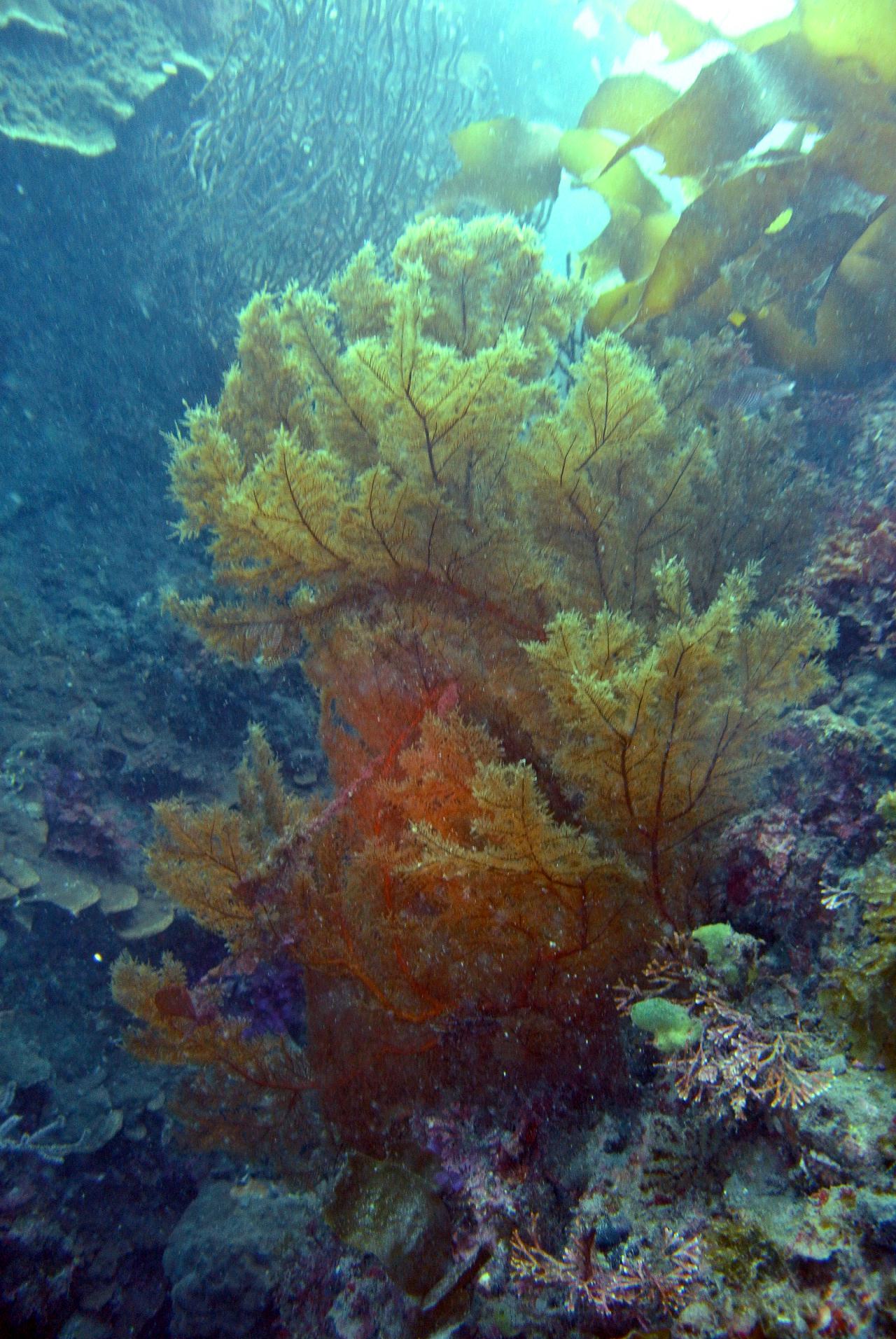 제주 다이빙 마지막날