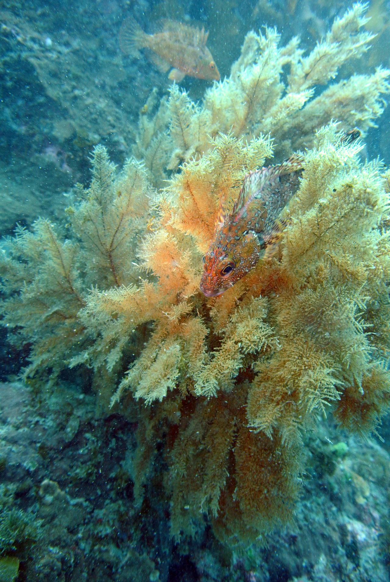 제주 다이빙 마지막날