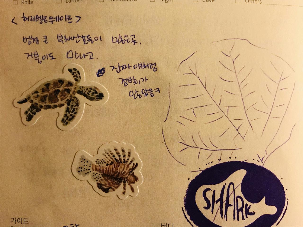 아닐라오 liqpo