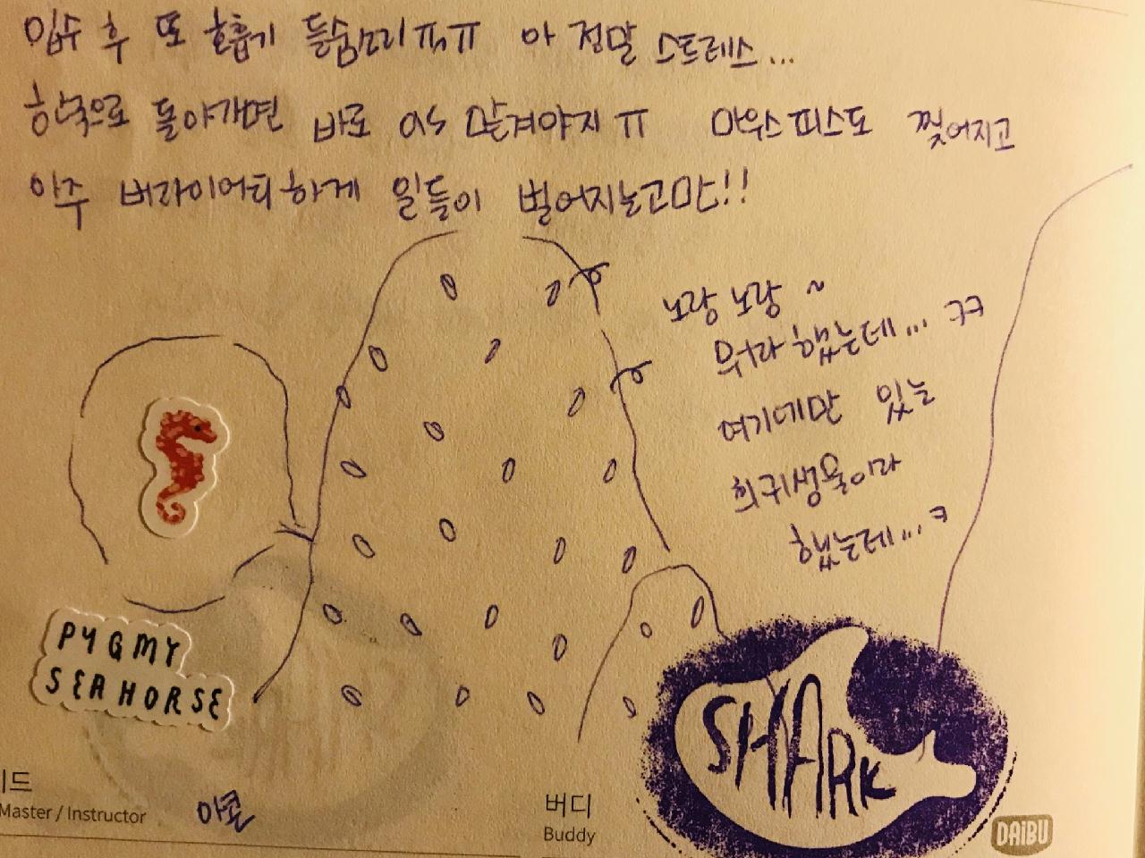 아닐라오 kirbi’s rock