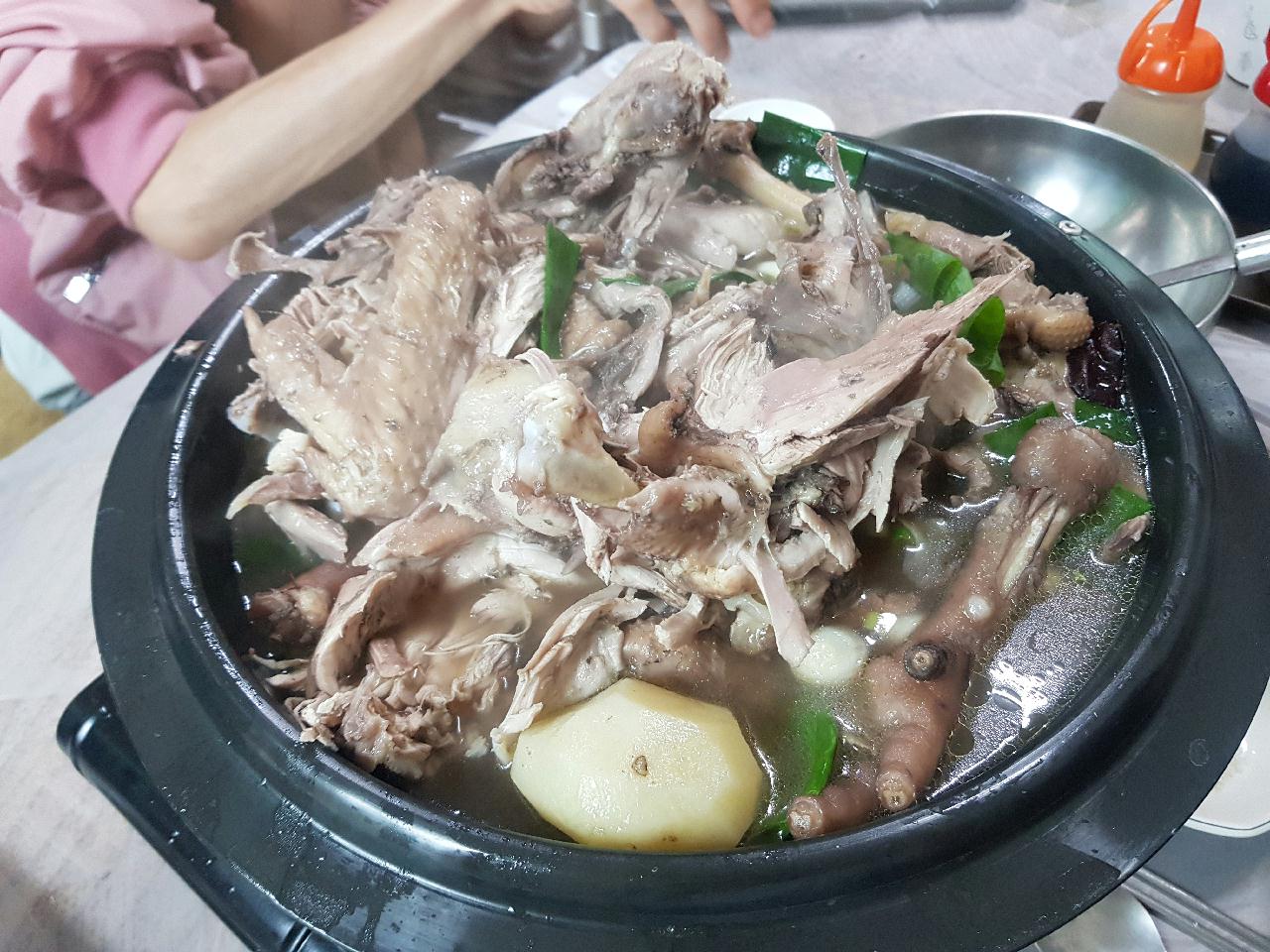 칡소폭포 스쿠버다이빙 후기