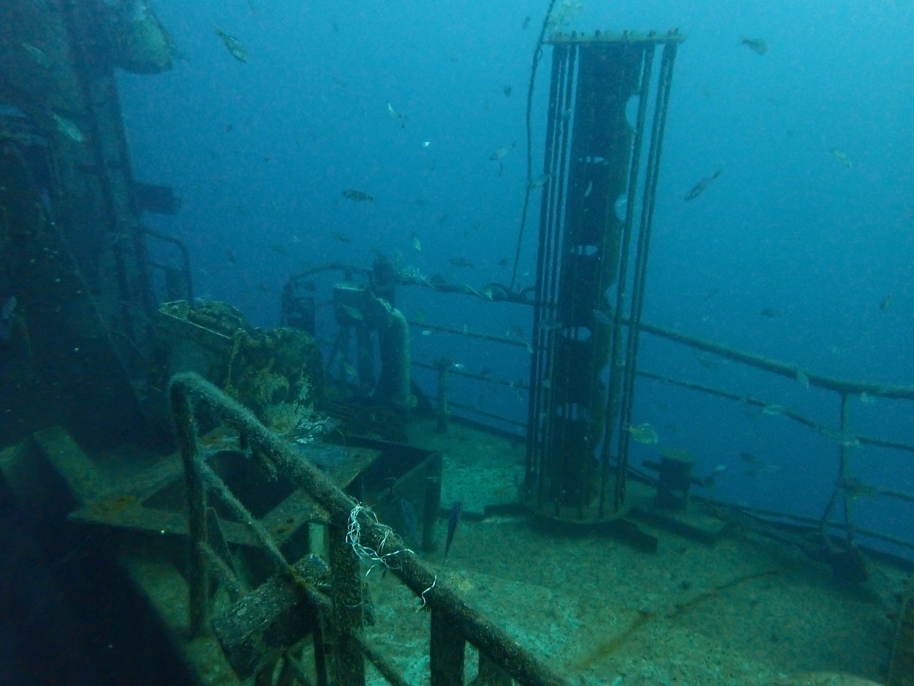 강릉 해중공원 _ 스텔라 2