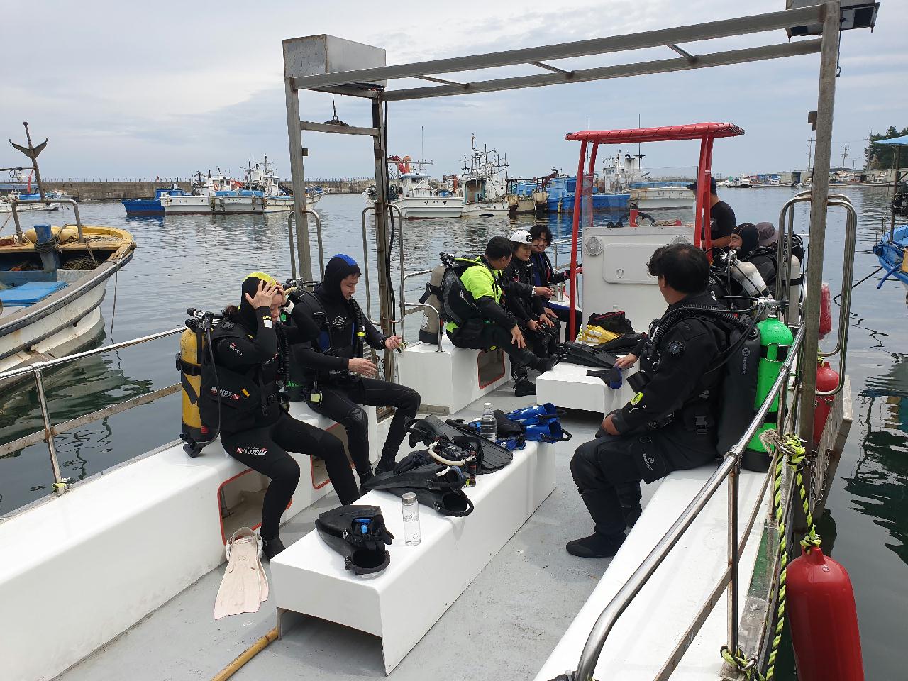 돔 포인트가 이리 생겼구나 ㅋㅋ