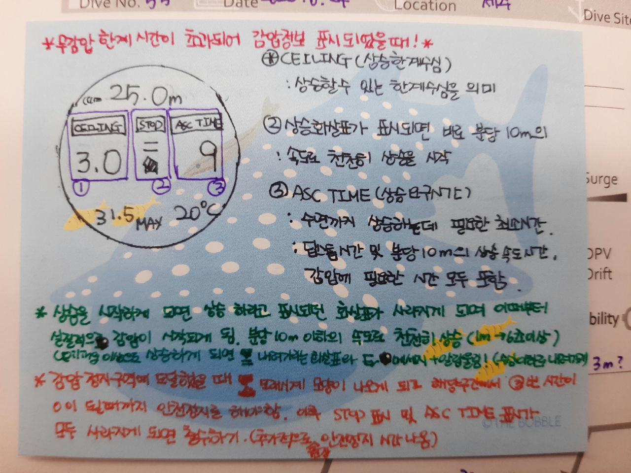 범섬(콧구멍)