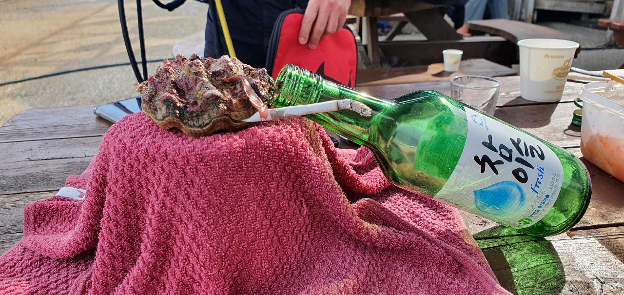 사천 보보스스쿠버샵 영진쪽