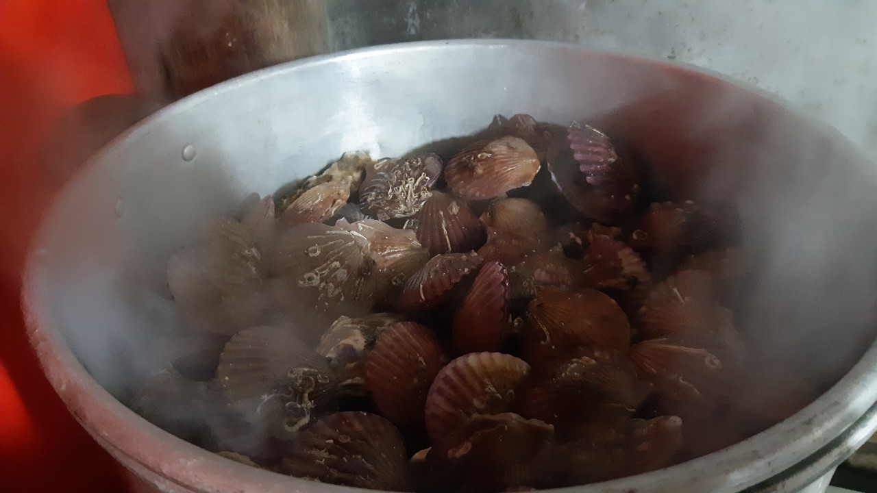 양양 칸다이브 _ 아라포인트