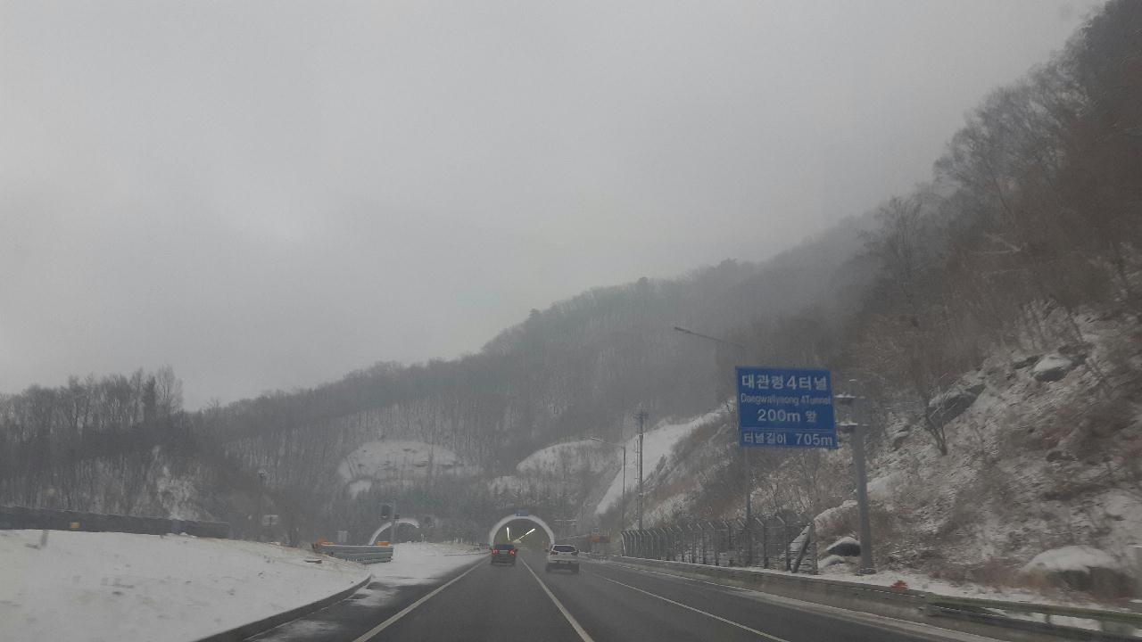 양양 칸다이브_ 통발