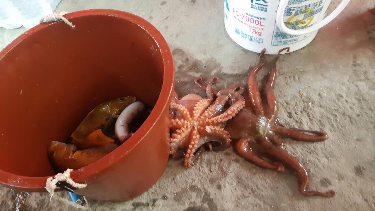 양양 칸다이브 _ 통발