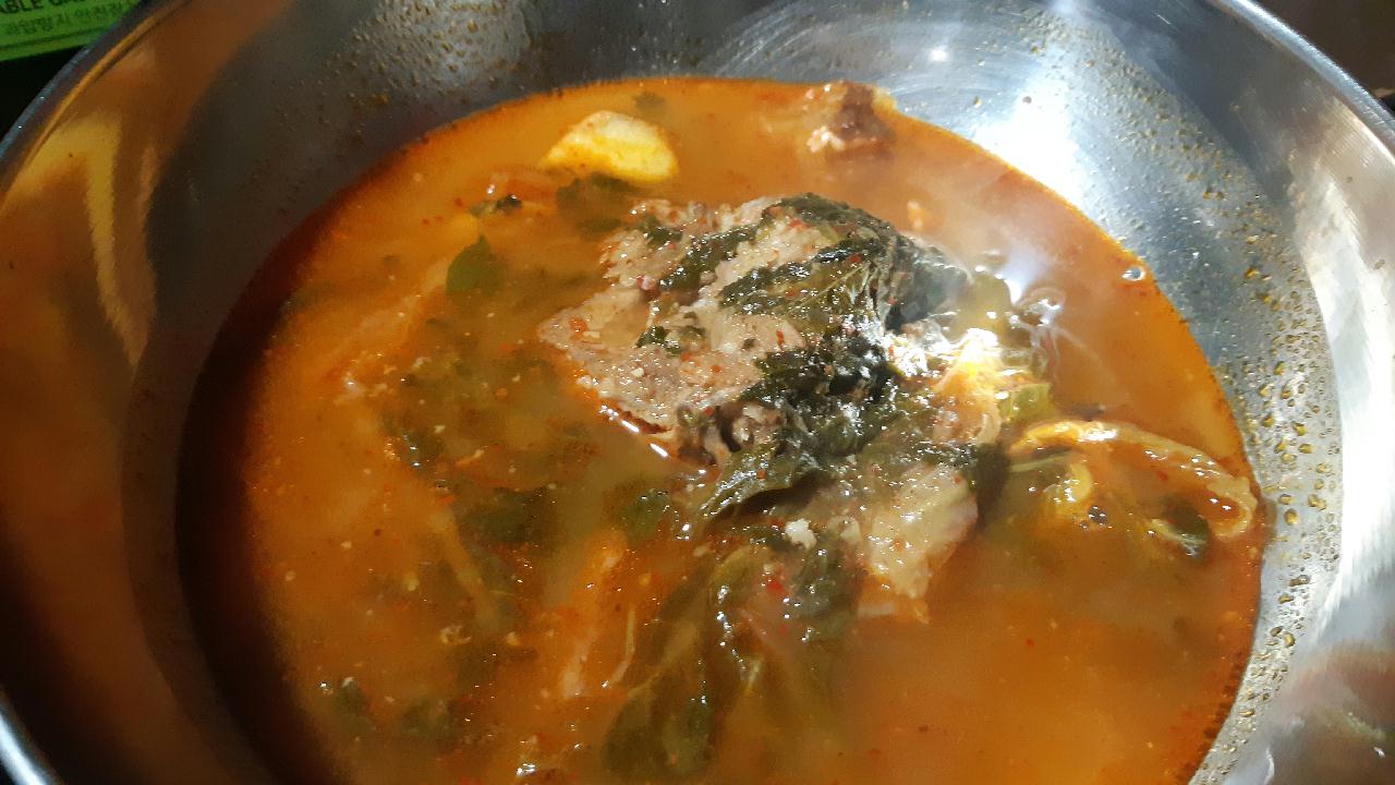 양양 칸다이브 _ 통발