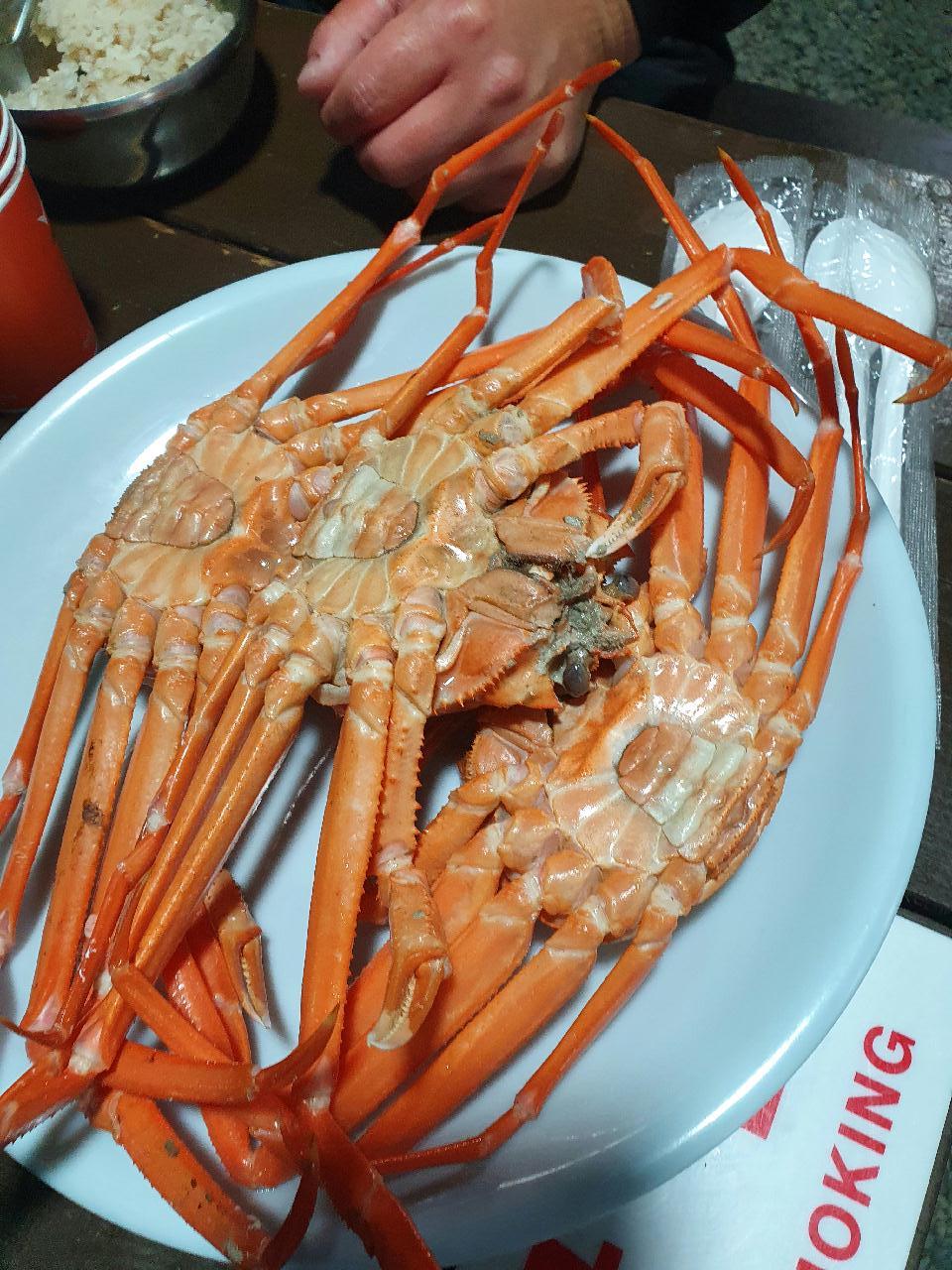 양양 칸다이브 _ 통발