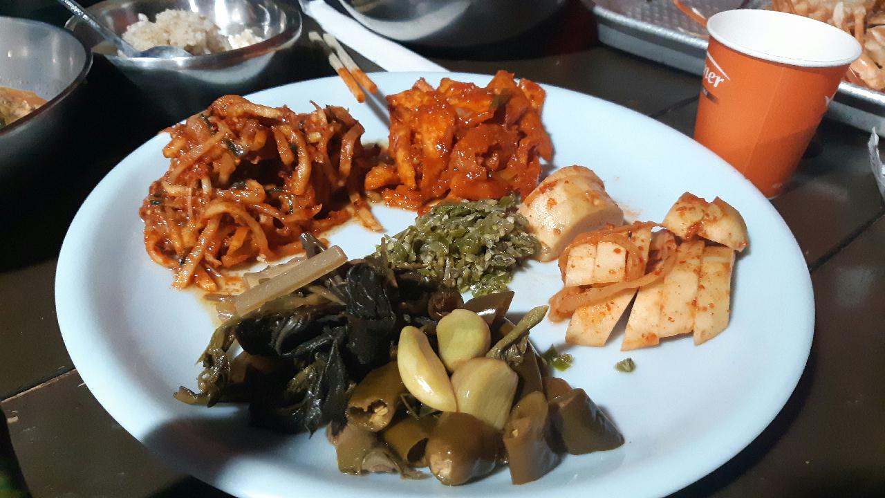 양양 칸다이브 _ 통발