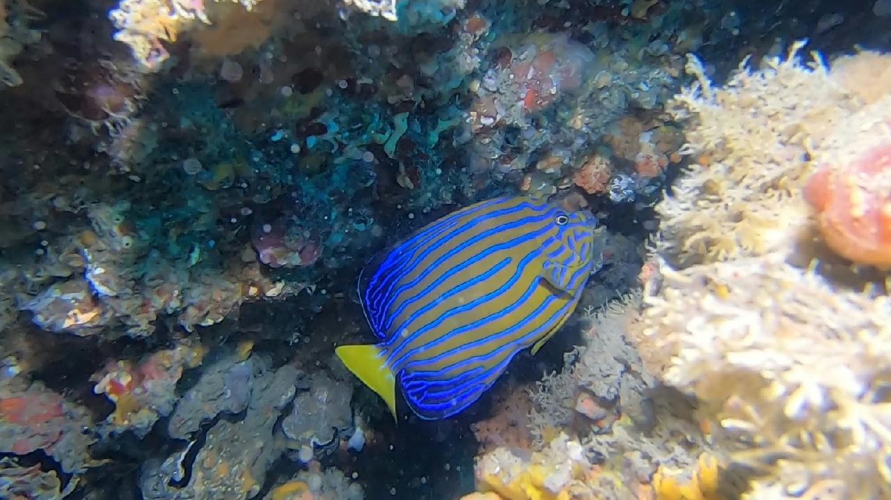 제주도 서귀포 섶섬 - 간출여 포인트