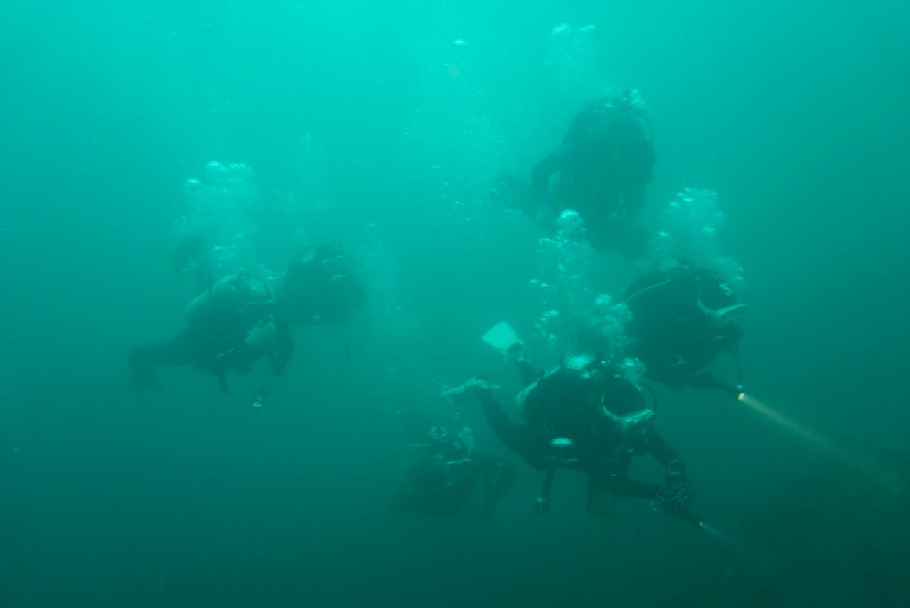 제주도 서귀포 - 외돌개