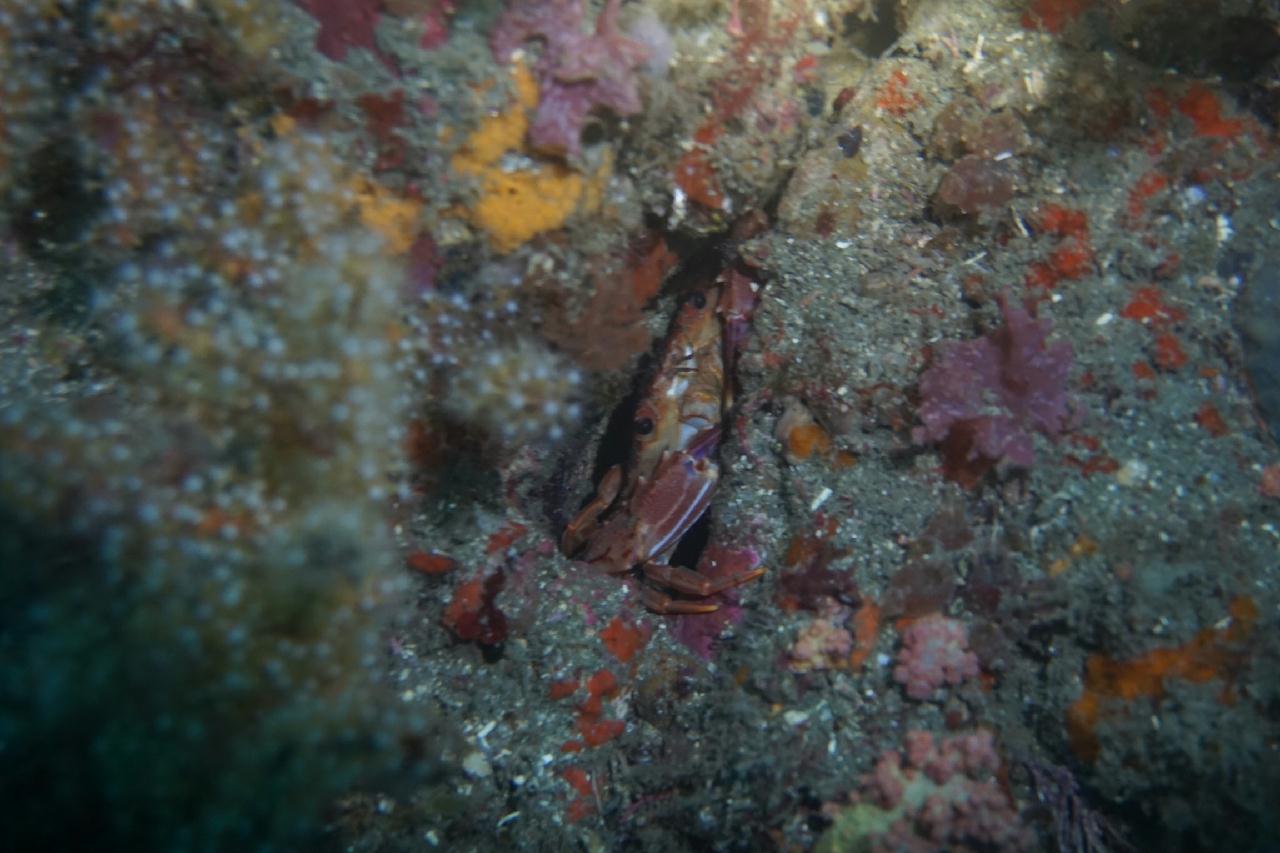제주도 서귀포 - 문섬 난파선