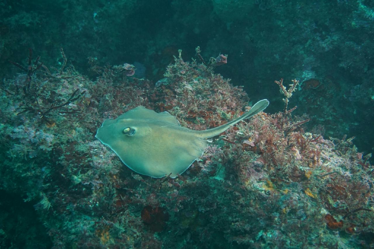 제주도 성산 - 윗자리여