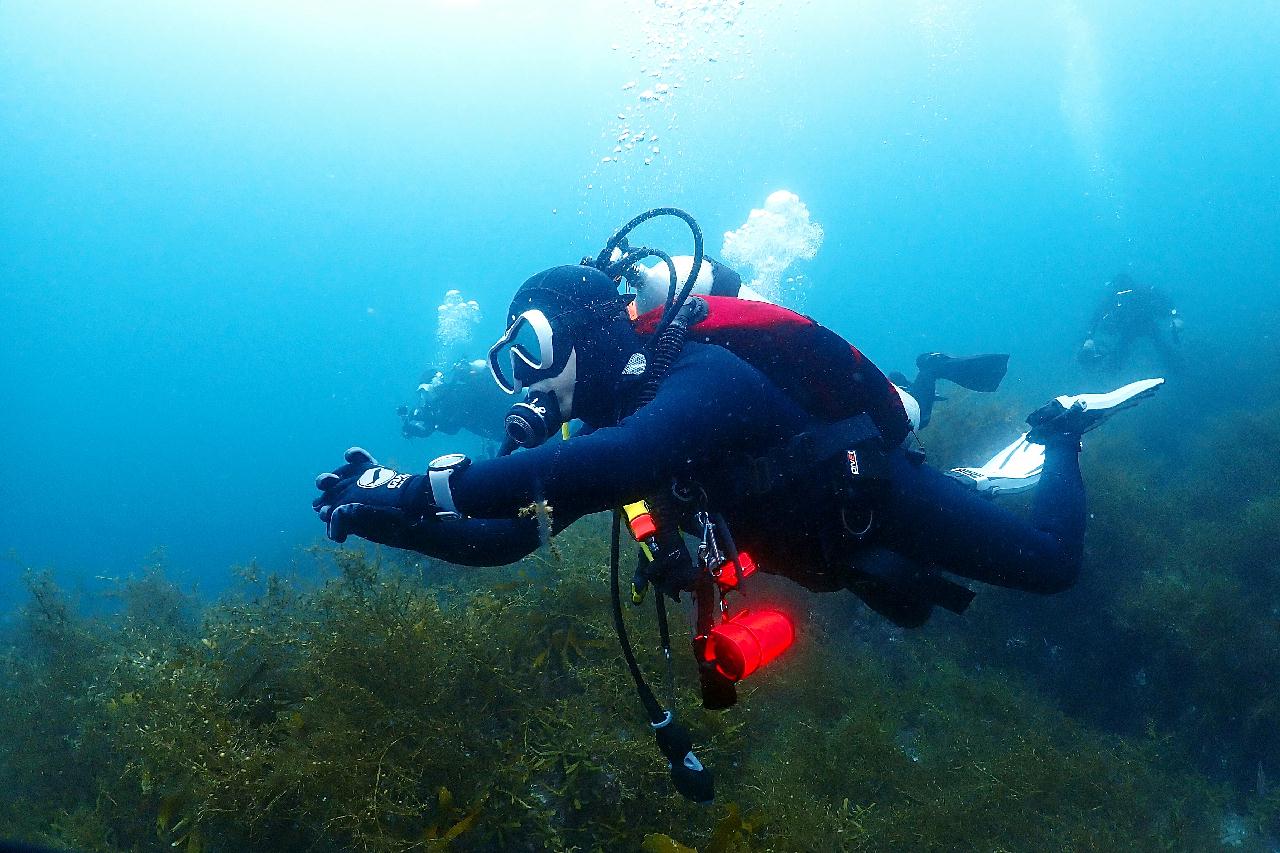 울릉도 하트 바위