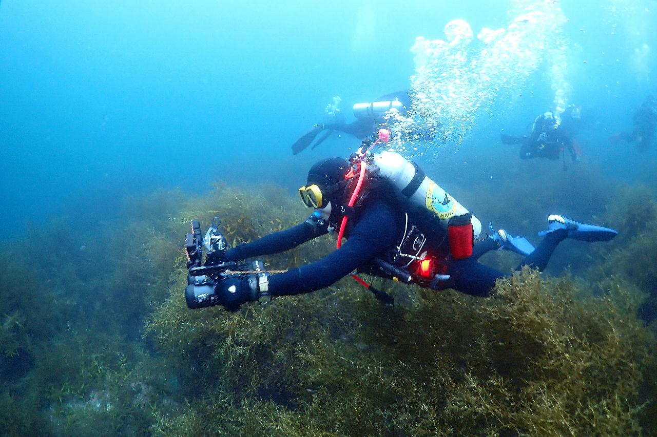 울릉도 하트 바위