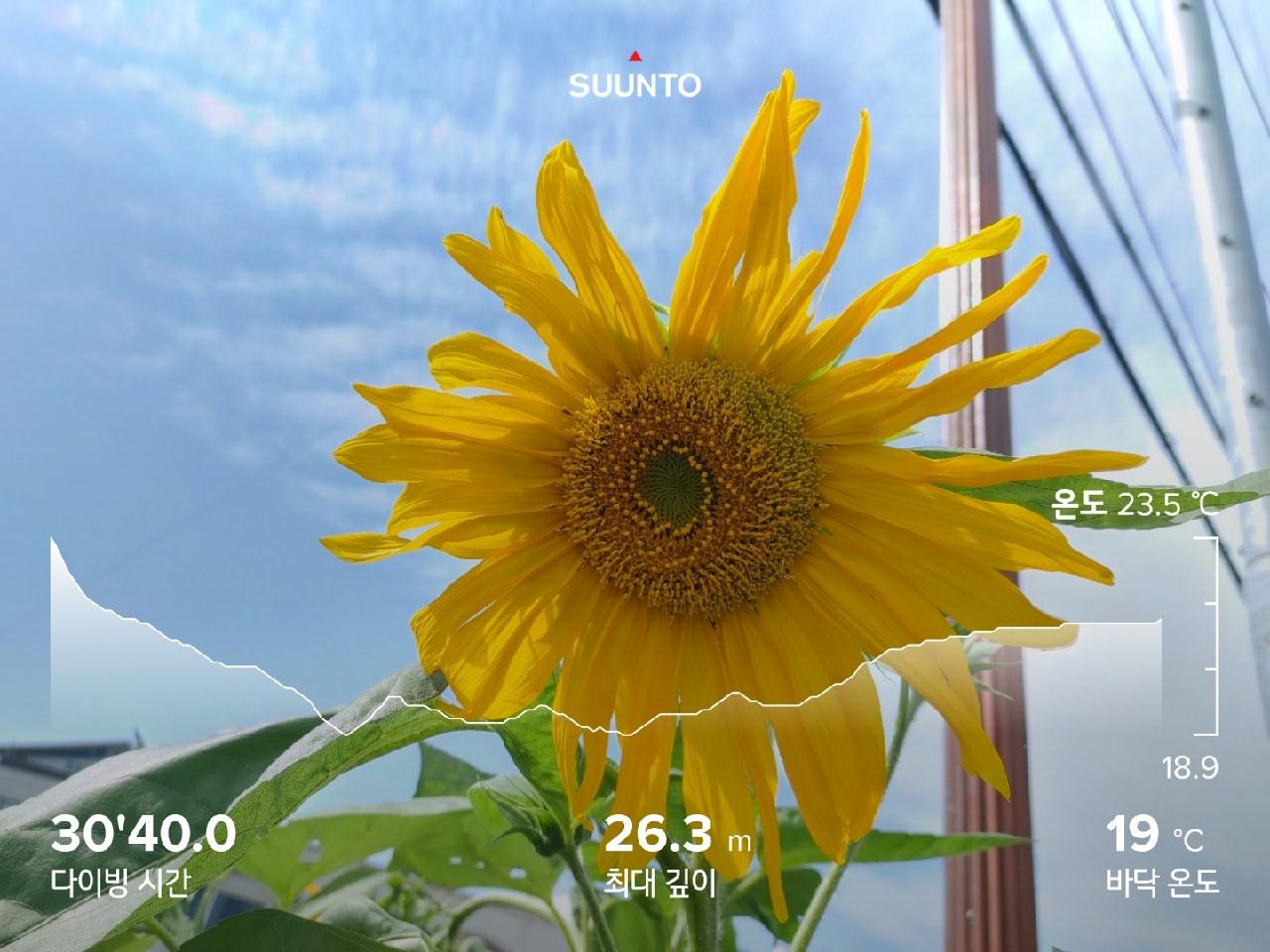 양양 세번째 다이빙