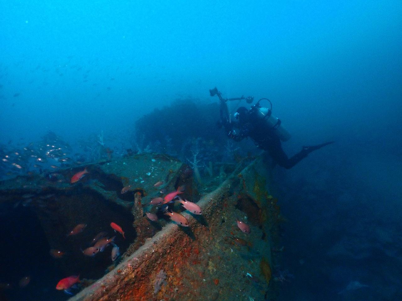 침선 두개  한꺼번에 방문
