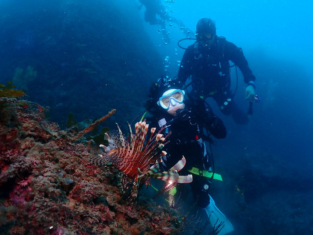 2월 12일 보목 다이빙