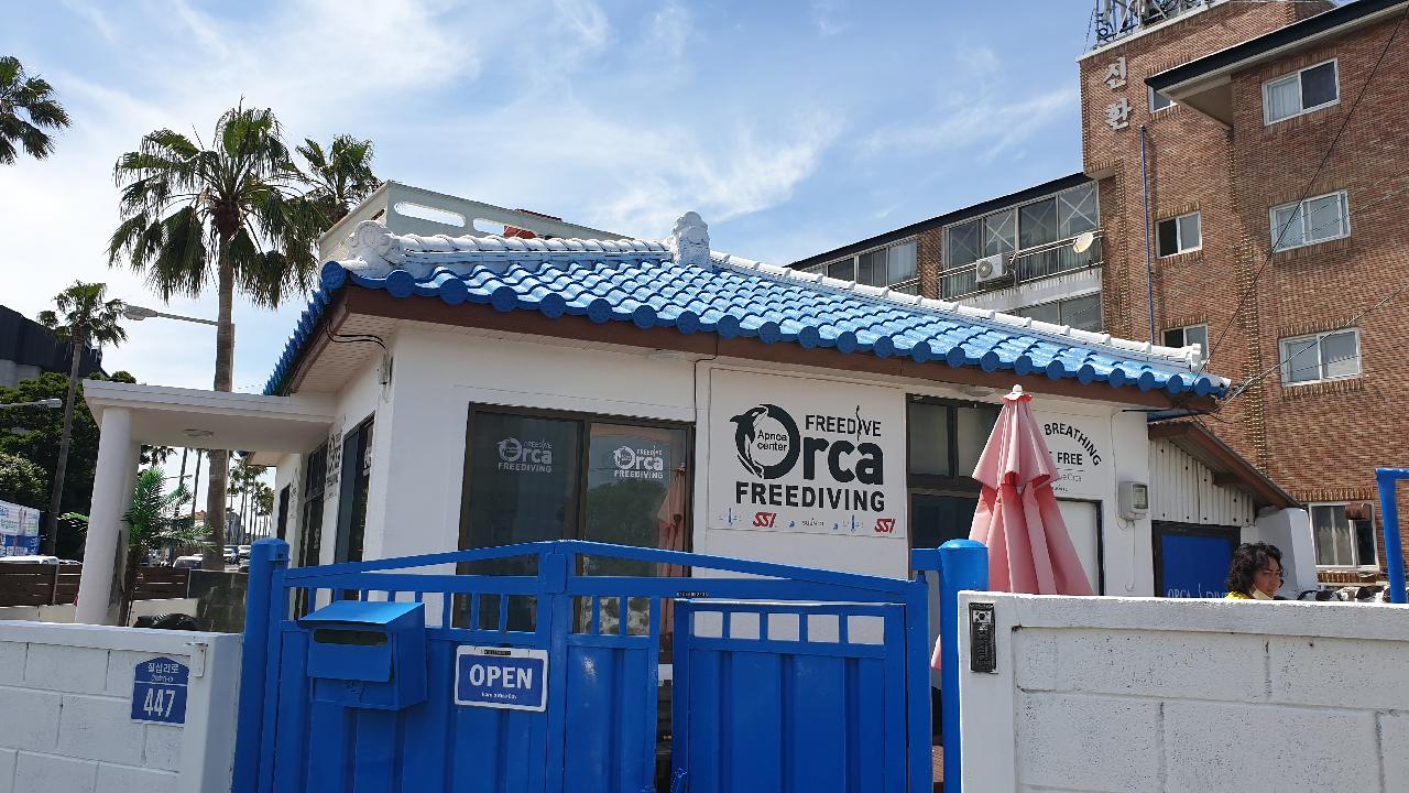 서귀포 보목 오르카 프리다이빙 샵 