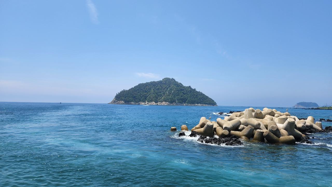 오늘의 보목 상황