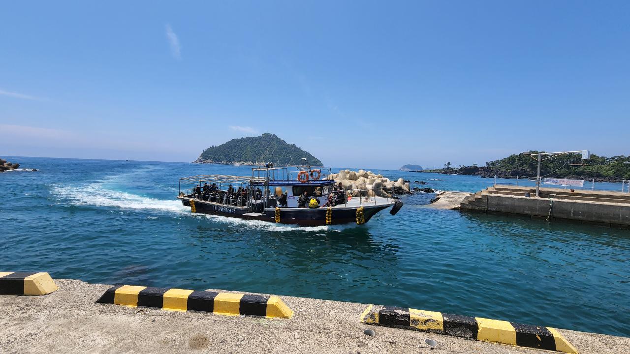 오늘의 보목 상황