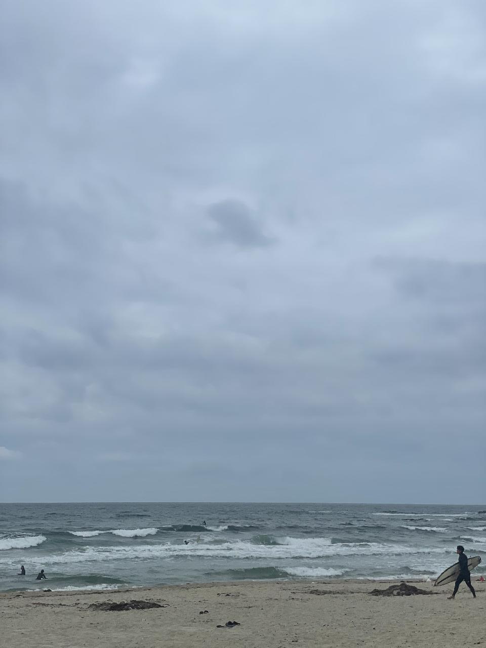 ?서핑은 사랑이다(기사문)?