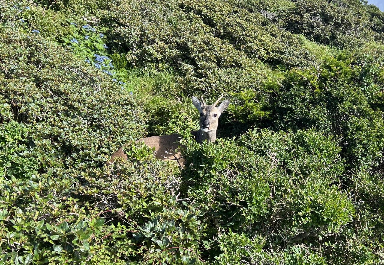 다이빙 쉬는날엔 한라산 트레킹이 최고죠