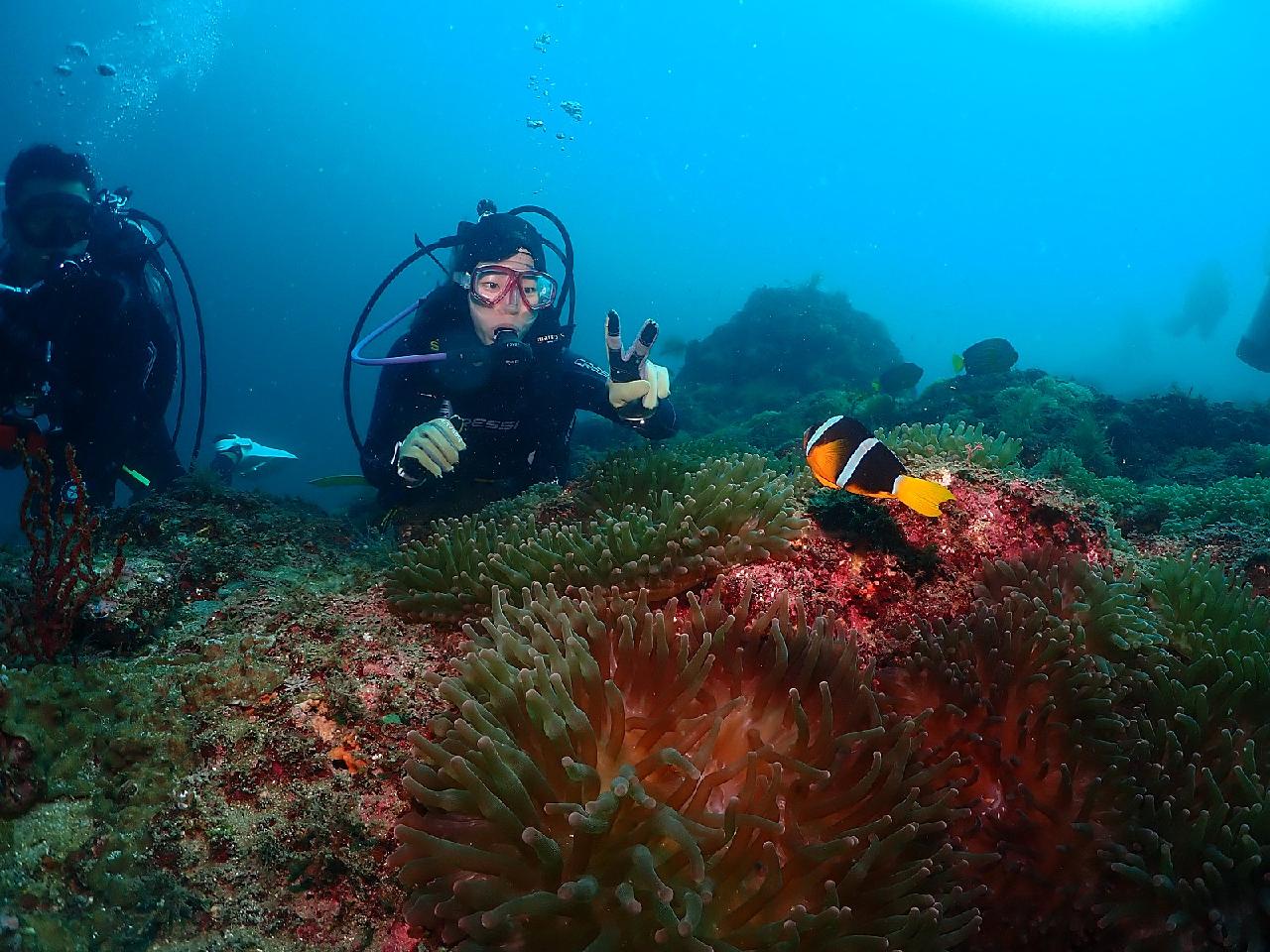 日本からダイブマップ(DIVEMAP)に来たマキさんと済州島の海を探検しました。