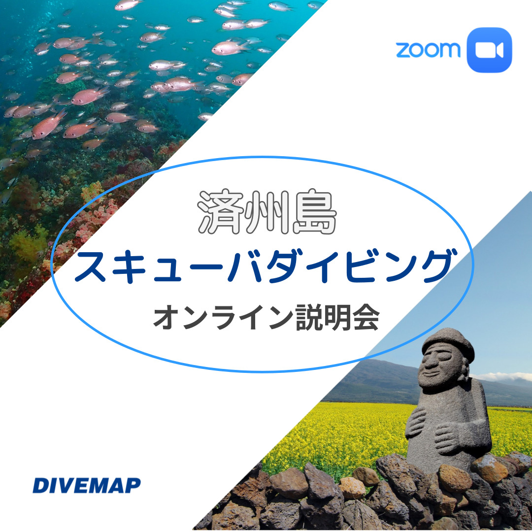 済州島(チェジュ島) スキューバダイビング ガイドブック