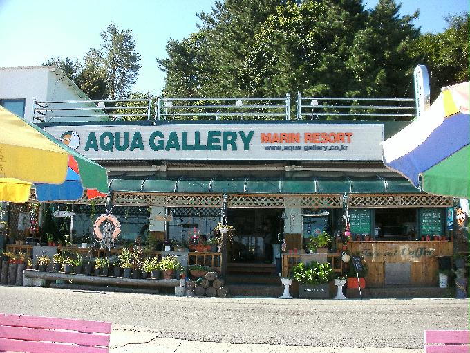 펀다이빙 - 강원도 양양 아쿠아갤러리 - 화이트락