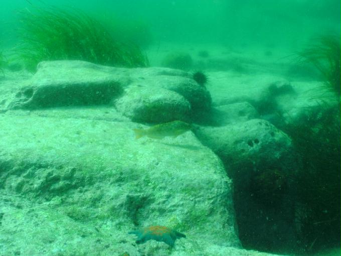 펀다이빙 - 강원도 양양 아쿠아갤러리 - 화이트락