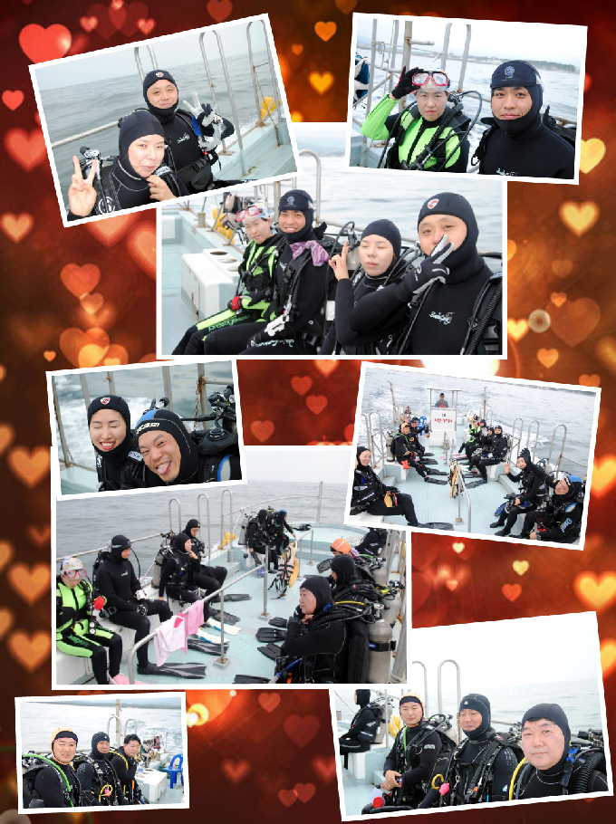 오픈워터와의 수중 유영 - 강원도 강릉시 사천면 사천진리 - 자연짬