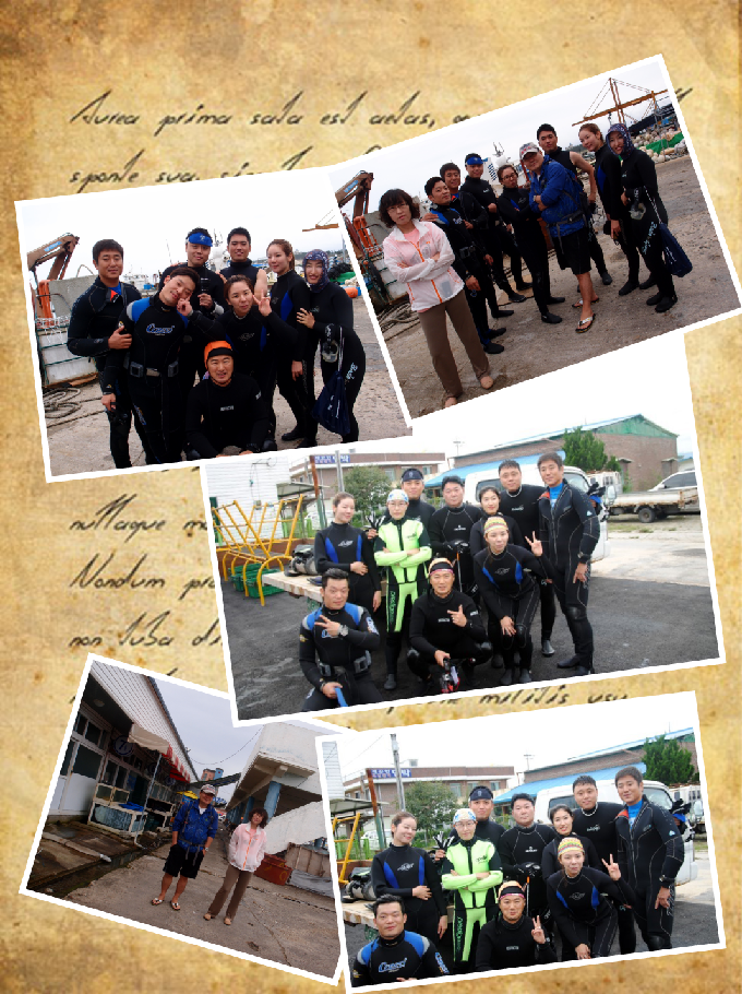 오픈워터와의 수중 유영 - 강원도 강릉시 사천면 사천진리 - 자연짬