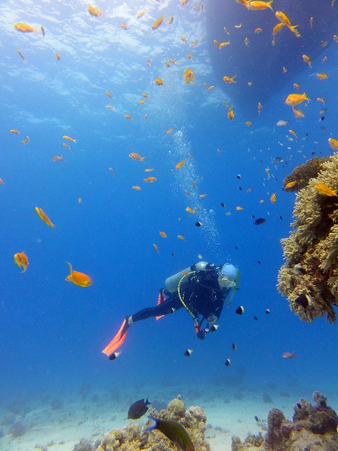 펀다이빙 - Hurghada, Egypt - Eruk