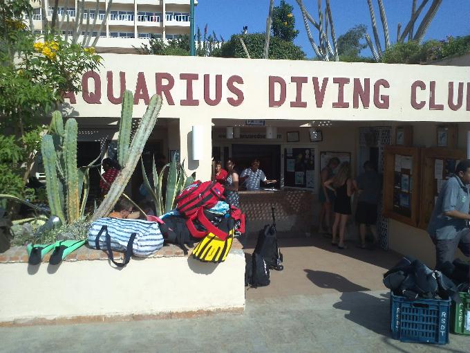 펀 다이빙 - Hurghada, Egypt - Shabruhr Umm Gammar