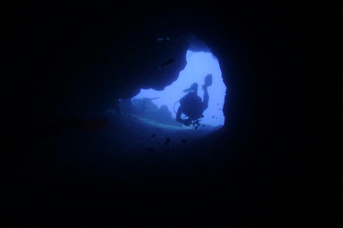 펀 다이빙 [Drift] - Hurghada, Egypt - Umm Gammar
