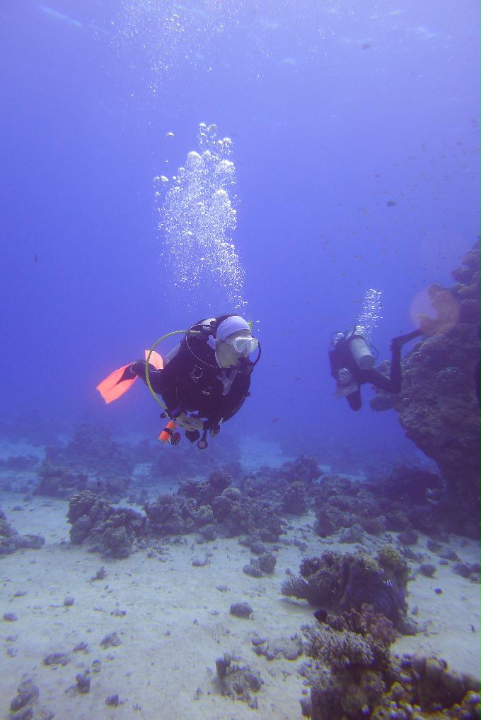 펀 다이빙 - Hurghada, Egypt - Gota Abu Ramada