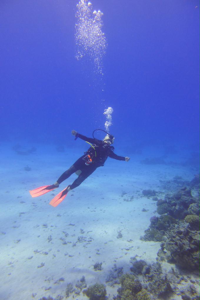 펀 다이빙 - Hurghada, Egypt - Turft el Shahed