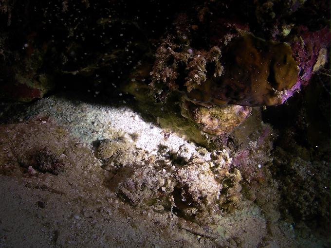 힐루퉁안 2 - 막탄 오션플레이어 - 힐루퉁안