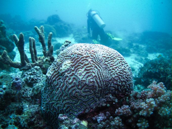 힐루퉁안 2 - 막탄 오션플레이어 - 힐루퉁안