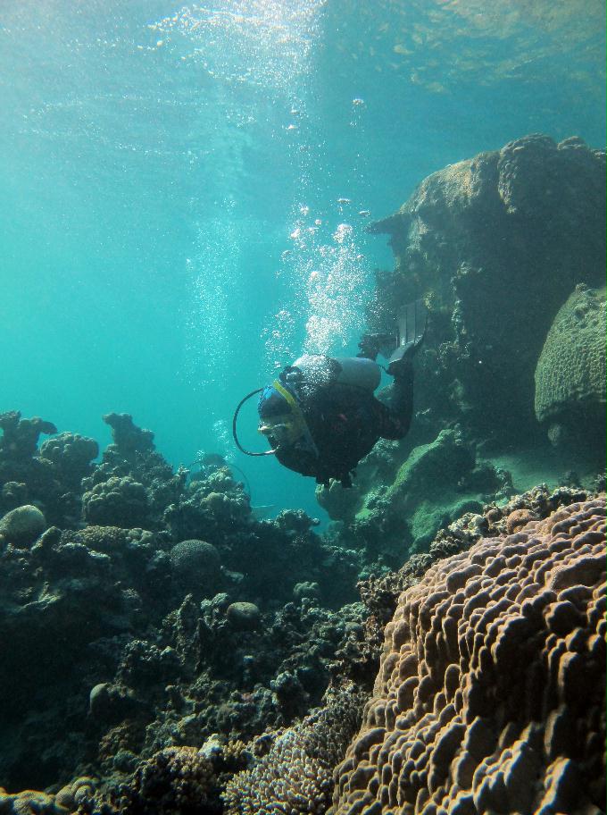 펀 다이빙 [Drift] - Dahab, Egypt - Three Pools