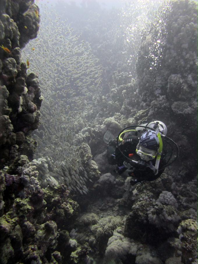 펀 다이빙 [Drift] - Dahab, Egypt - Three Pools