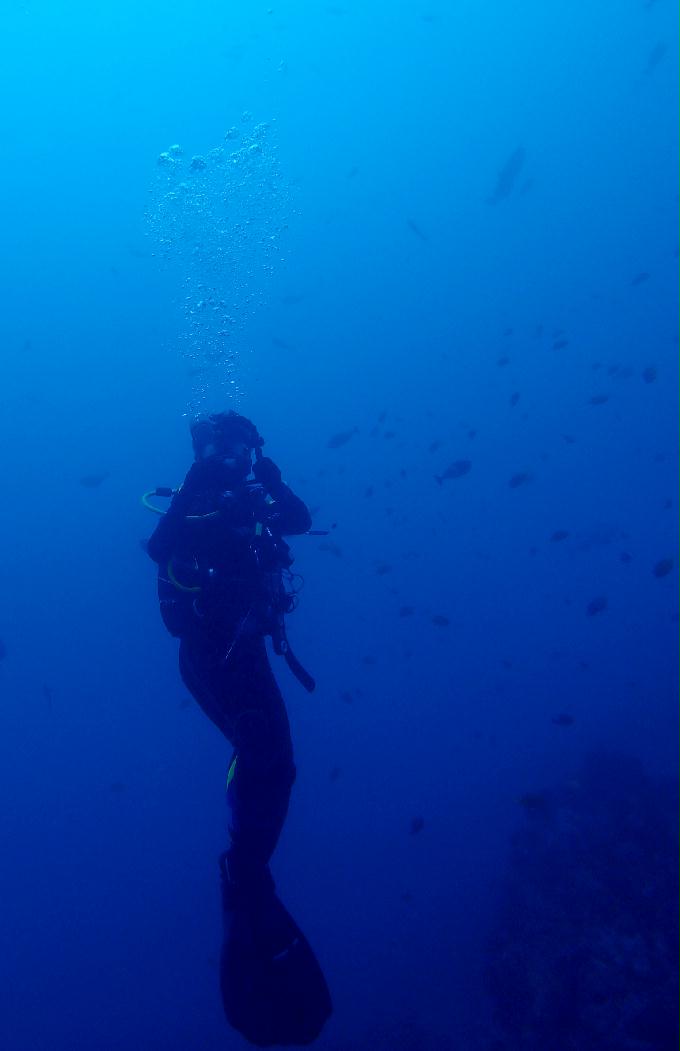 Fun Diving - 필리핀 민도르 사방비치 - MONKEY BEACH Point
