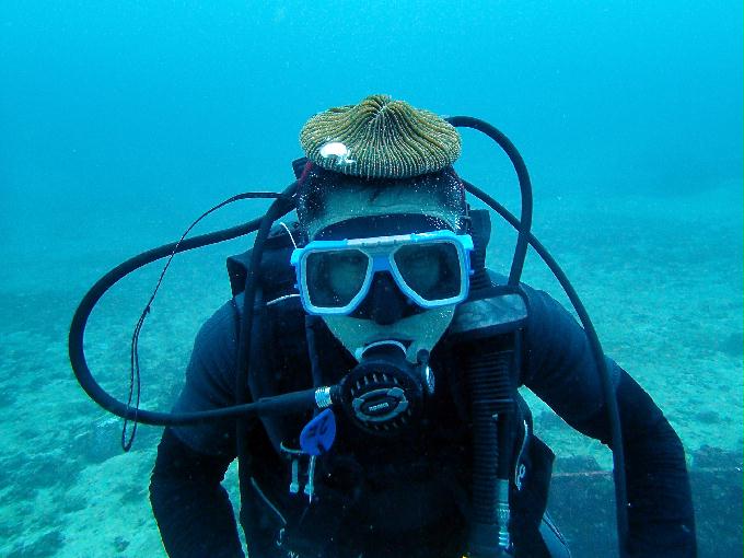 Fun Diving - 필리핀 민도르 사방비치 - LALAGUNA Point