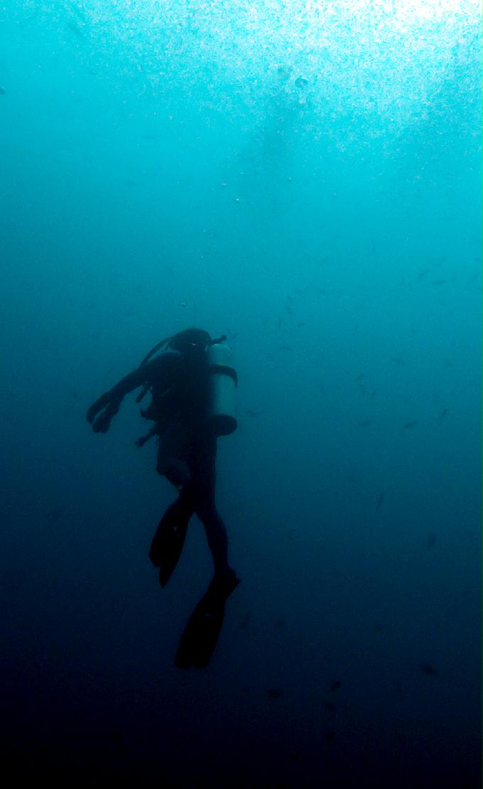 Fun Diving - 필리핀 민도르 사방비치 - MONKEY BEACH Point