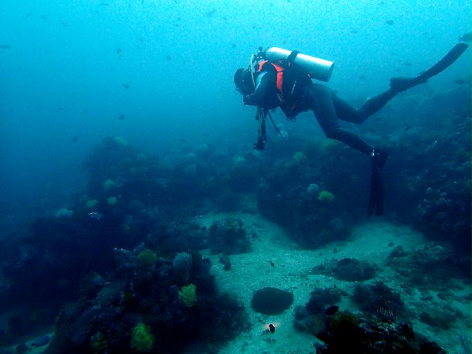 Fun Diving - 필리핀 민도르 사방비치 - MONKEY BEACH Point